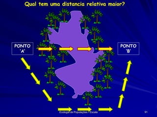 Qual tem uma distancia relativa maior?

PONTO
‘A’

PONTO
‘B’

Ecologia de Populações - Escala

91

 