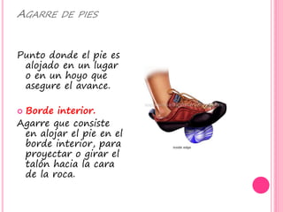 AGARRE DE PIES
Punto donde el pie es
alojado en un lugar
o en un hoyo que
asegure el avance.
 Borde interior.
Agarre que consiste
en alojar el pie en el
borde interior, para
proyectar o girar el
talón hacia la cara
de la roca.
 