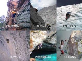 EN ROCA    ALPINA      EN HIELO




 BIGWALL   PSICOBLOC   URBANA
 