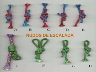 NUDOS DE ESCALADA
 