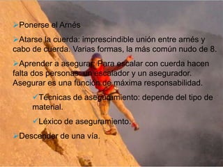 Ponerse el Arnés
Atarse la cuerda: imprescindible unión entre arnés y
cabo de cuerda. Varias formas, la más común nudo de 8.
Aprender a asegurar: Para escalar con cuerda hacen
falta dos personas: un escalador y un asegurador.
Asegurar es una función de máxima responsabilidad.
     Técnicas de aseguramiento: depende del tipo de
     material.
     Léxico de aseguramiento.
Descender de una vía.
 