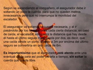 Según va ascendiendo el compañero, el asegurador debe ir
soltando un poco la cuerda, para que no queden metros
innecesarios pero que no interrumpa la movilidad del
escalador.

El asegurador va soltando la cuerda necesaria, y al ir
pasándola por los mosquetones cada cierta distancia, en caso
de caída, el escalador solo caerá la distancia que hay desde
él hasta el último seguro multiplicada por dos, es decir, que
una caída desde un punto situado a 3m por encima del último
seguro se convertiría en una caída de 6m.

Es importantísimo que el asegurador esté atento ante una
eventual caída para así poder pararla a tiempo, sin soltar la
cuerda que queda libre.
 