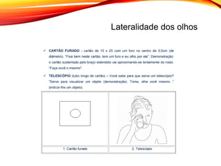 Lateralidade dos olhos
 