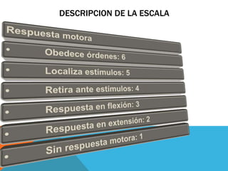 DESCRIPCION DE LA ESCALA
 