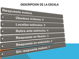 DESCRIPCION DE LA ESCALA
 