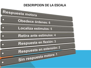 DESCRIPCION DE LA ESCALA
 