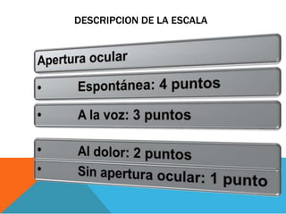 DESCRIPCION DE LA ESCALA
 