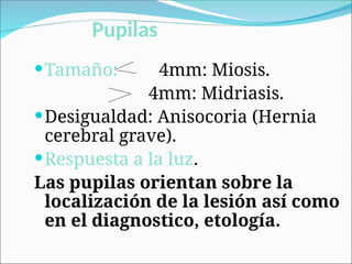 Pupilas
Tamaño: 4mm: Miosis.
4mm: Midriasis.
Desigualdad: Anisocoria (Hernia
cerebral grave).
Respuesta a la luz.
Las pupilas orientan sobre la
localización de la lesión así como
en el diagnostico, etología.
 
