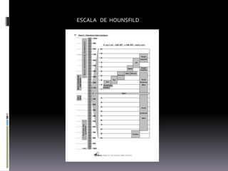 ESCALA DE HOUNSFILD
 