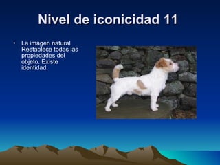 Nivel de iconicidad 11   La imagen natural Restablece todas las propiedades del objeto. Existe identidad. 