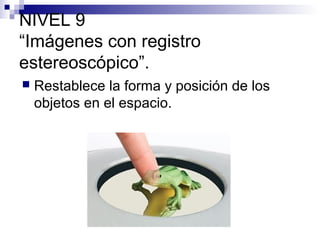 NIVEL 9
“Imágenes con registro
estereoscópico”.


Restablece la forma y posición de los
objetos en el espacio.

 