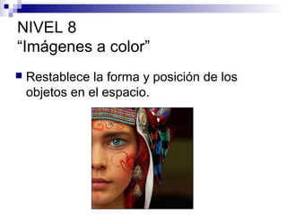 NIVEL 8
“Imágenes a color”


Restablece la forma y posición de los
objetos en el espacio.

 