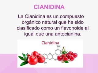 CIANIDINA
La Cianidina es un compuesto
orgánico natural que ha sido
clasificado como un flavonoide al
igual que una antocianina.
 