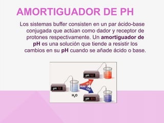 AMORTIGUADOR DE PH
Los sistemas buffer consisten en un par ácido-base
conjugada que actúan como dador y receptor de
protones respectivamente. Un amortiguador de
pH es una solución que tiende a resistir los
cambios en su pH cuando se añade ácido o base.
 
