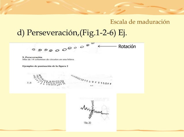 Escala de maduracion de bender
