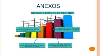 ANEXOS
 
