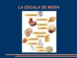 LA ESCALA DE MOSH
 