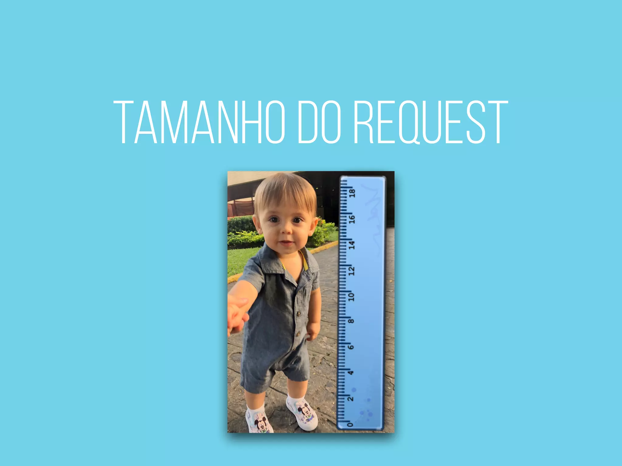 TAMANHo do request
 