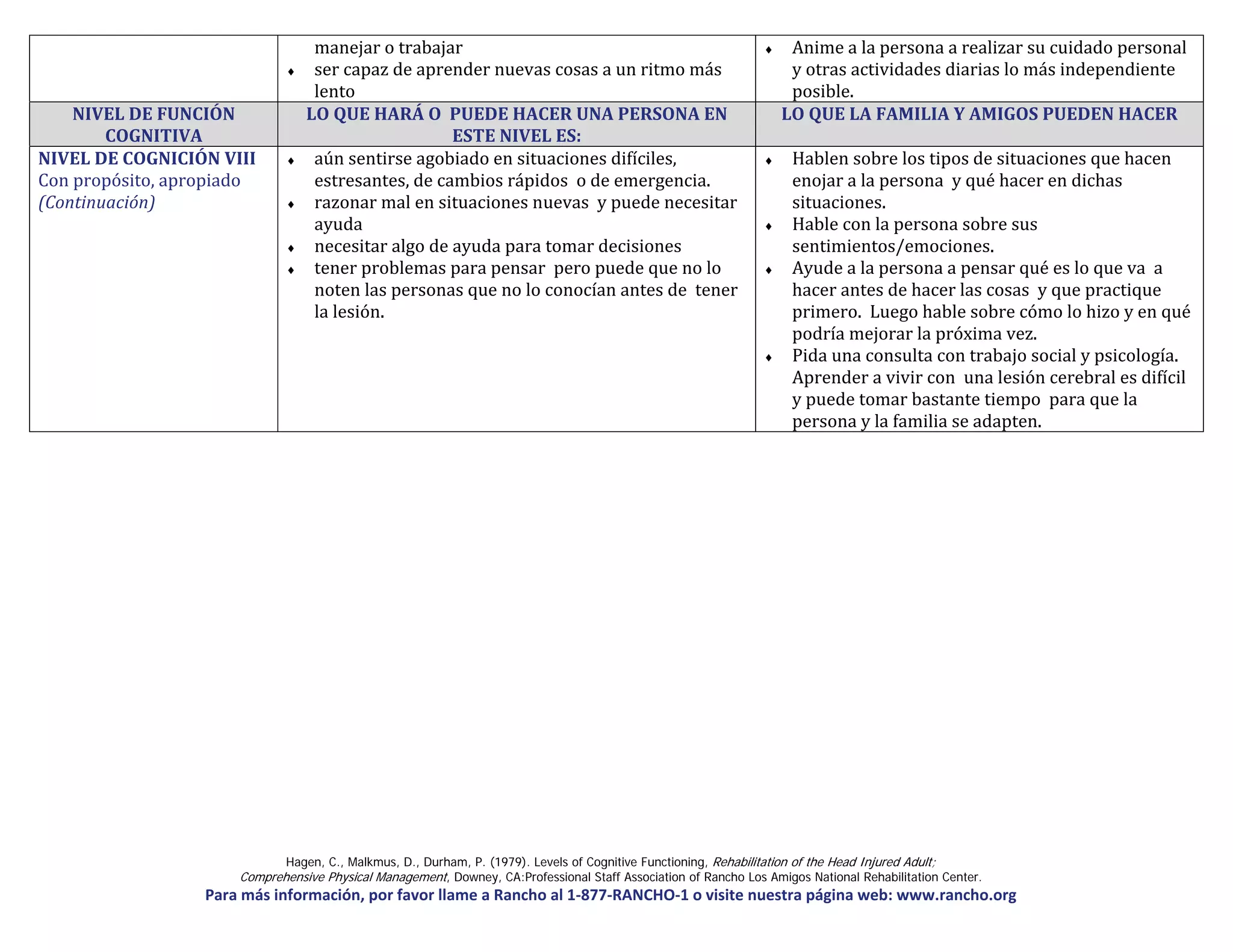 Escala rancho de los amigos.pdf