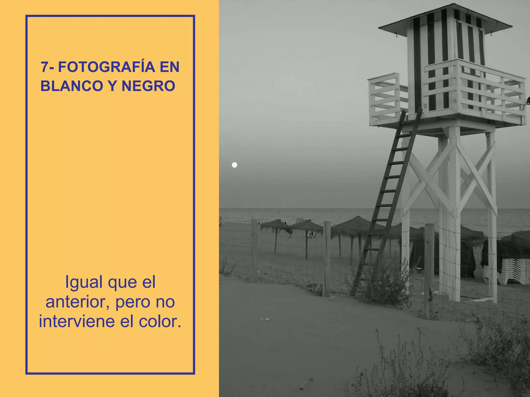 7- FOTOGRAFÍA EN BLANCO Y NEGRO   Igual que el anterior, pero no interviene el color. 