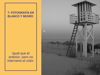 7- FOTOGRAFÍA EN BLANCO Y NEGRO   Igual que el anterior, pero no interviene el color. 