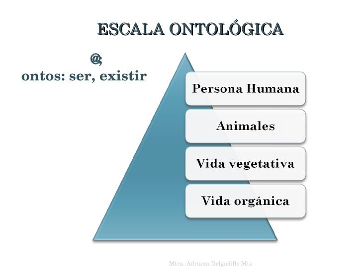 Concepto De Ser Humano De Acuerdo Con La Jerarquia Ontologica