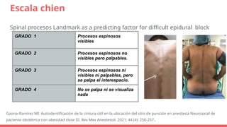 Escalas de Valoración en Anestesiología (1) (1).pptx