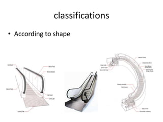classifications 
• According to shape 
 
