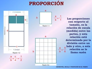 PROPORCIÓN
b
a
a
b
c
d
a
b
=
1
1
a
b
c
d
= =
1
2
a
b
=
5
6
a
b
Las proporciones
con respecto al
tamaño, es la
relación de ...