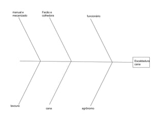 Facão e
colhedora
manual e
mecanizado
lavoura
funcionário
cana agrônomo
Escaldadura
cana
 