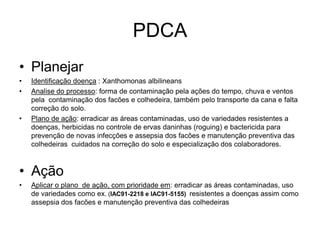 PDCA
• Planejar
• Identificação doença : Xanthomonas albilineans
• Analise do processo: forma de contaminação pela ações do tempo, chuva e ventos
pela contaminação dos facões e colhedeira, também pelo transporte da cana e falta
correção do solo.
• Plano de ação: erradicar as áreas contaminadas, uso de variedades resistentes a
doenças, herbicidas no controle de ervas daninhas (roguing) e bactericida para
prevenção de novas infecções e assepsia dos facões e manutenção preventiva das
colhedeiras cuidados na correção do solo e especialização dos colaboradores.
• Ação
• Aplicar o plano de ação, com prioridade em: erradicar as áreas contaminadas, uso
de variedades como ex. (IAC91-2218 e IAC91-5155) resistentes a doenças assim como
assepsia dos facões e manutenção preventiva das colhedeiras
 