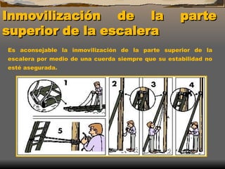 Inmovilización de la parte
Inmovilización de la parte
superior de la escalera
superior de la escalera
Es aconsejable la inmovilización de la parte superior de la
escalera por medio de una cuerda siempre que su estabilidad no
esté asegurada.
 