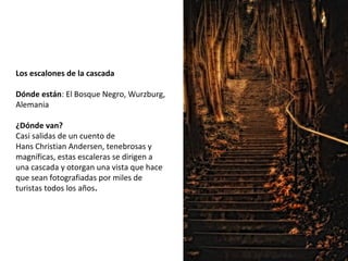 Los escalones de la cascada
Dónde están: El Bosque Negro, Wurzburg,
Alemania
¿Dónde van? 
Casi salidas de un cuento de
Hans Christian Andersen, tenebrosas y
magníficas, estas escaleras se dirigen a
una cascada y otorgan una vista que hace
que sean fotografiadas por miles de
turistas todos los años.
 