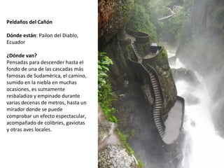Peldaños del Cañón
 
Dónde están: Pailon del Diablo, 
Ecuador
¿Dónde van?
Pensadas para descender hasta el 
fondo de una de las cascadas más 
famosas de Sudamérica, el camino, 
sumido en la niebla en muchas 
ocasiones, es sumamente 
resbaladizo y empinado durante 
varias decenas de metros, hasta un 
mirador donde se puede 
comprobar un efecto espectacular, 
acompañado de colibríes, gaviotas 
y otras aves locales.
 
