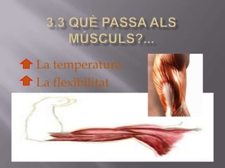 3.3 quèpassaalsmúsculs?... La temperaturaLa flexibilitat