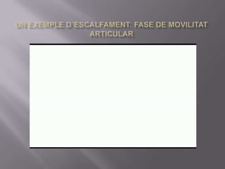 Un exempled´escalfament: fase de movilitat articular