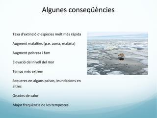 Algunes conseqüències


Taxa d'extinció d’espècies molt més ràpida

Augment malalties (p.e. asma, malària)

Augment pobresa i fam

Elevació del nivell del mar

Temps més extrem

Sequeres en alguns països, inundacions en
altres

Onades de calor

Major freqüència de les tempestes
 