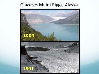 Glaceres Muir i Riggs, Alaska
 
