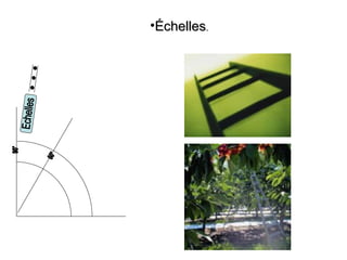 •ÉchellesÉchelles..
 
