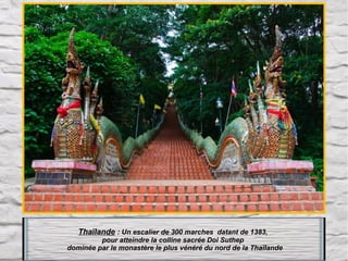 Thaïlande : Un escalier de 300 marches  datant de 1383, 
pour atteindre la colline sacrée Doi Suthep 
 dominée par le monastère le plus vénéré du nord de la Thaïlande

 