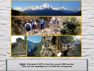 Népal : Ghorepani à 2875 m vous fera monter 3280 marches
Pour une vue magnifique sur la chaîne des Annapurnas

 