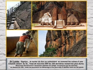 Sri Lanka : Sigiriya... le rocher du lion ou subsistent au sommet les ruines d' une

Citatelle datant du 5e...Total de marches 800 les 250 dernières restant les plus dures.
Beaucoup abandonnent l' ascension atteintes de vertige occasionné par les marches
au dessus du vide...notez les pousseurs au démarrage et les gros nids d' abeilles noirs sur les parois

 