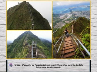 Hawai : L' escalier du Paradis Haiku et ses 3922 marches sur l' île de Oahu
Désormais fermé au public

 