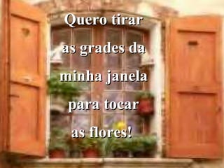 Quero tirar as grades da minha janela para tocar as flores!  