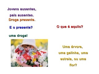 Jovens ausentes,Jovens ausentes,
pais ausentes.pais ausentes.
Droga presente.Droga presente.
E o presente?E o presente?
uma droga!uma droga!
O que é aquilo?O que é aquilo?
Uma árvore,Uma árvore,
uma galinha, umauma galinha, uma
estrela, ou umaestrela, ou uma
flor?flor?
 