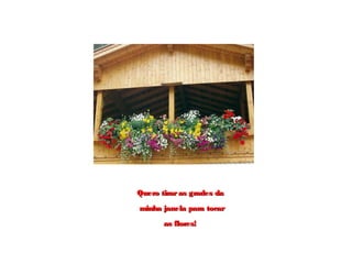 Quero tiraras grades daQuero tiraras grades da
minha janela para tocarminha janela para tocar
as flores!as flores!
 