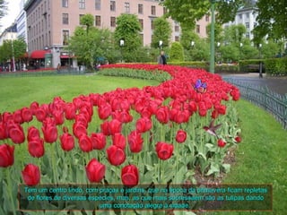 Tem um centro lindo, com praças e jardins, que na época da primavera ficam repletas
 de flores de diversas espécies, mas, as que mais sobressaem são as tulipas dando
                          uma conotação alegre à cidade.
 