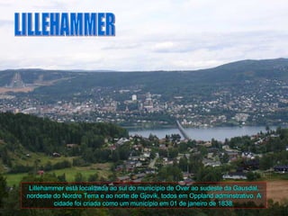 Lillehammer está localizada ao sul do município de Over ao sudeste da Gausdal,
nordeste do Nordre Terra e ao norte de Gjovik, todos em Oppland adminstrativo. A
         cidade foi criada como um município em 01 de janeiro de 1838.
 