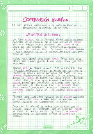 COMPRENSIÓN DE LECTURA