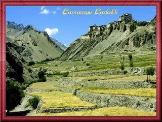 Escapade en-inde-jack-50